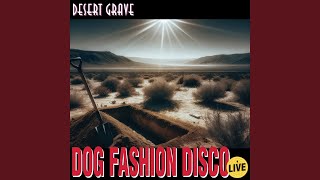Desert Grave (Live)