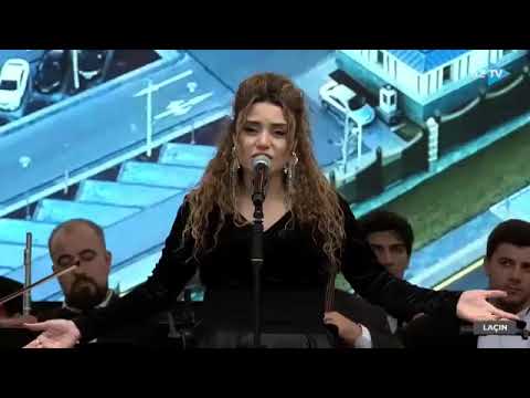 Çinare Melikzade- Bana her şey seni hatırlatıyor (Beraber yürüdük)