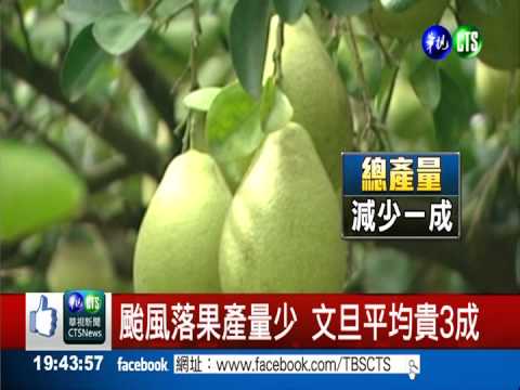 頂級文旦一顆300元 民眾吃不消