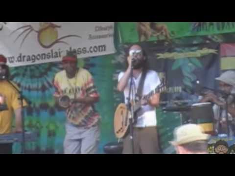 Ras Cricket and the Cultivators Live At Reggae In The Trees