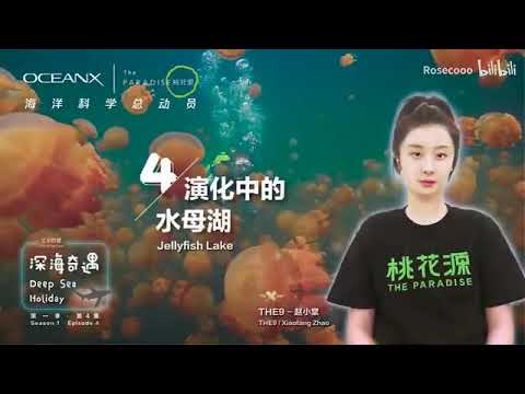 深海奇遇第一季 Deep Sea Adventures Season 1[ENG SUB]