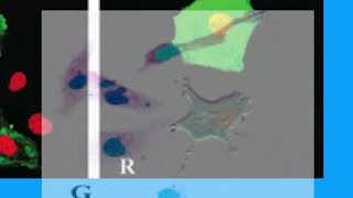 Download lagu 3DD2D5069DC67E960CE75091D61853#1 mp3 Download lagu 3DD2D5069DC67E960CE75091D61853#1 mp3