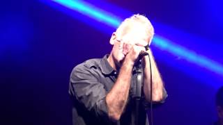 BUITRES Azul en Sanrandí del Yí.