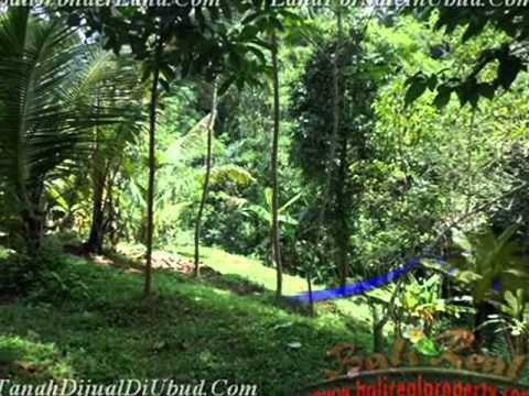 Properti Strategis 1.200 m2 Lahan view sawah dan tebing di Ubud TJUB422 Properti Strategis 1.200 m2 Lahan view sawah dan tebing di Ubud TJUB422