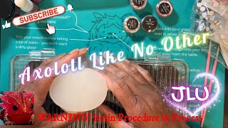 Resin Project - How to Put Glass Eyes in your Axolotl👀🤪
