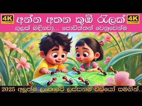 Anna Athana Kumbi Ralak | Sinhala Lama Gee | අන්න අතන කූඹි රැලක් ගුලක් බඳිනවා | Koombi Song 2025
