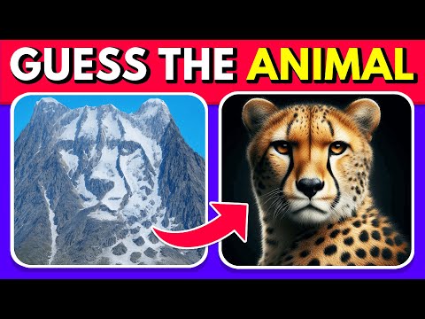 Guess the Hidden Animal by ILLUSIONS 🐶🐵🐈 Easy, Medium, Hard levels Quiz