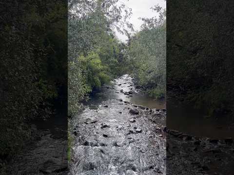 Rio Bonito - São Domingos, Santa Catarina, Brasil.