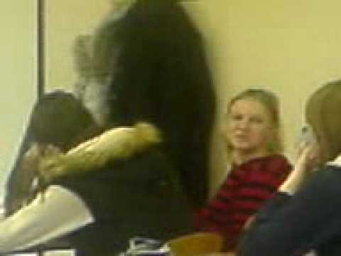 Komari se zenili v nj