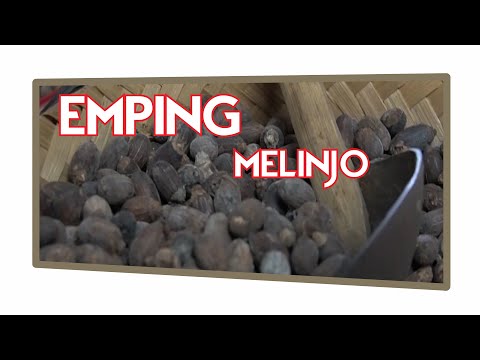 PENGUSAHA EMPING MELINJO || UKM BANTUL