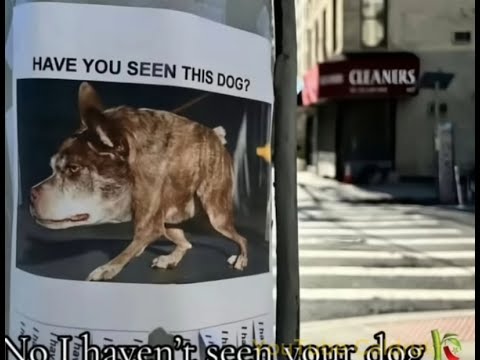 Modifier Jsd tutorial