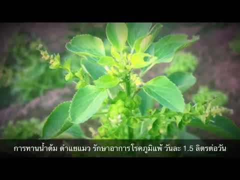 ผลไม้สีแดงและผักในโรคสะเก็ดเงิน โรคสะเก็ดเงินไข่น้ำมันไข่แดง