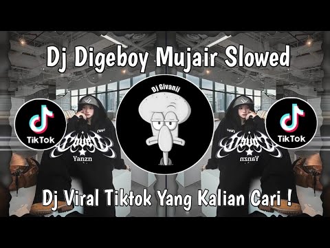 DJ DI GEBOY MUJAIR SLOWED VIRAL TIKTOK TERBARU 2025 YANG KALIAN CARI !
