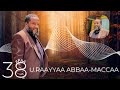 RAAYYAA ABBA MACCAA 38FFAA YALII