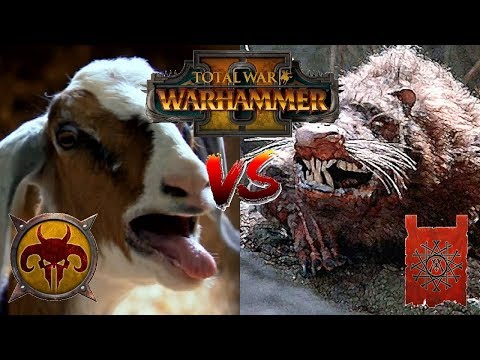 Skaven vs Beastmen | RATS & GOATS - Total War Warhammer 2
