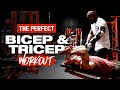 The PERFECT Bicep & Tricep Workout