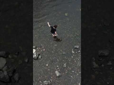 Loch Ness Monster Found #Shorts