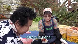 나는 농부다 66회 1부 - 행복한 대추 전쟁!Ⅰ