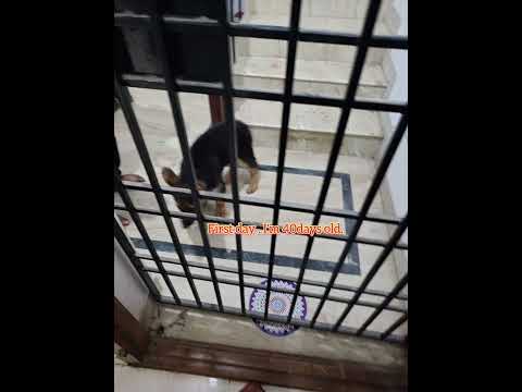 My  Journey With My Family