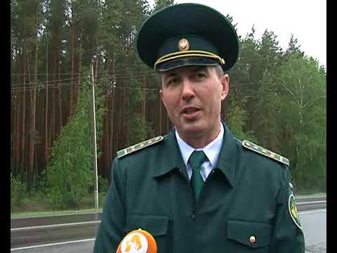 Курская таможня едет на мундиаль.