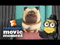 Minions At The Movies React To The Secret Life Of Pets Fandango Movie Moment 2016