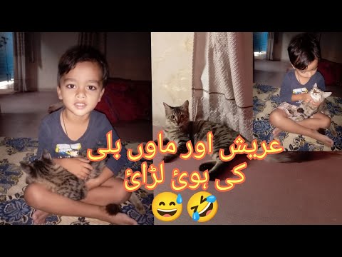 Arish Or Arish Ki Mao cat😺 Ki Howi Larai# Dono main howa Dangal# mera Shararti Cute bacha#viralvideo