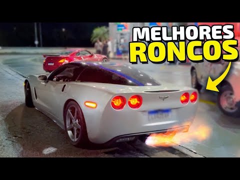 MELHORES RONCOS DO BRASIL 🇧🇷 #4