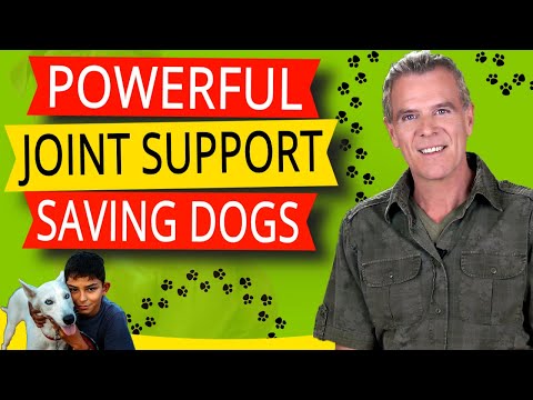 Glucosamine For Dogs (3 Perfect NATURAL Supplements For Dogs Joint Health)