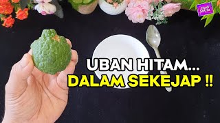 Download lagu Dengan Buah Ini,Uban Lenyap,Rambut Hitam Berkilat || Dodi Satria mp3