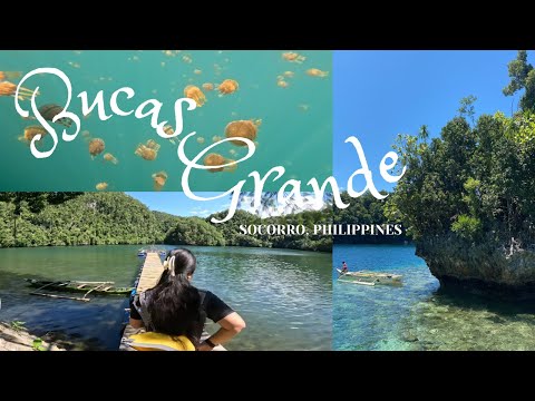 🇵🇭PINASerye: welcome to bucas grande! tri-island tour (2/2), jelly fish sanctuary, & surfing 🪼🪸