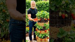 Grow 3X More Strawberries Easy Vertical DIY Garden Hack 🍓 🍓 🍓