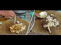 Amazing Soups Jinga Special Indian Bro Making Delicious झिंगा Dishes Surat Famous Jinga Di