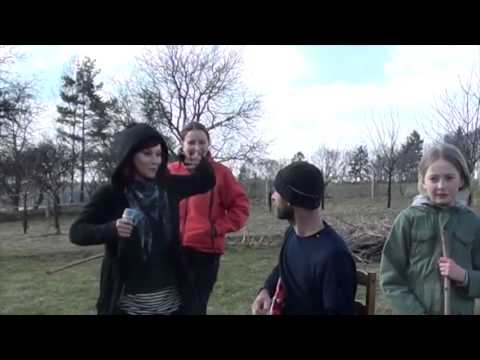 The Tea Party Of Miss Moon - A Smile Of A Raven