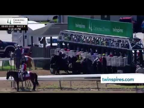 The impressive debut of “Essential Quality”at Churchill Downs