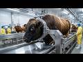 Cow Meat And Hide Processing In A Factory Modern Slaughterhouse Process