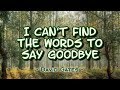 I Can't Find The Words to Say Goodbye - David Gates (KARAOKE VERSION)