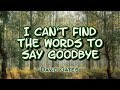 I Can T Find The Words To Say Goodbye David Gates KARAOKE VERSION