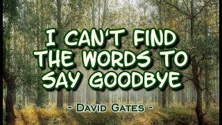 I Can&#39;t Find The Words to Say Goodbye - David Gates (KARAOKE VERSION)