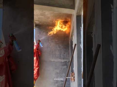 Why should a wasp nest be removed? How to remove wasp nest #wasp #nest #shorts