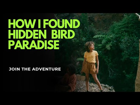 How I Discovered a Hidden Bird Paradise | Yoga, Meditation & Nature’s Bliss