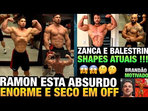 RAMON E ZANCA SHAPES ATUAIS - BALESTRIN EVOLUINDO RÁPIDO NA PREPARAÇÃO - BRANDÃO MOTIVADO E MAIS