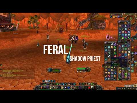 Wow | BFA Feral Druid duels (Pre patch)