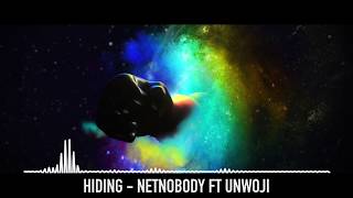 NetNobody &quot;Hiding&quot; (OFFICIAL AUDIO)
