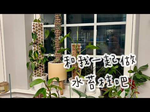 上柱