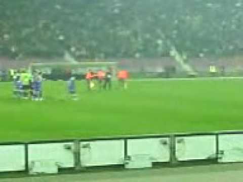 Fc Timisoara -Dinamo R.I.P