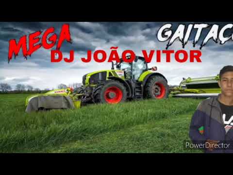 DJ JOÃO VITOR-mega gaitaço 2020