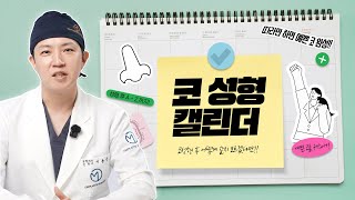 [코성형 캘린더] 코성형 계획 세우는 방법, 코성형 전/후 스케줄은 이렇게 짜세요! (캘린더 캡쳐 필수)