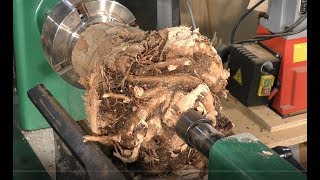 241 Wood-turning the $53,000 root of all evil bowls !!!