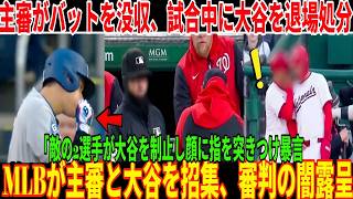 「翔平、今すぐここから出て行け！」と主審は叫び、バットを没収し、大谷を試合中に退場させた！ナショナルズの選手2人が大谷を呼び止め、顔に指を突きつけて暴言を吐いたのだ！ MLBが主審と大谷を招待、審判の
