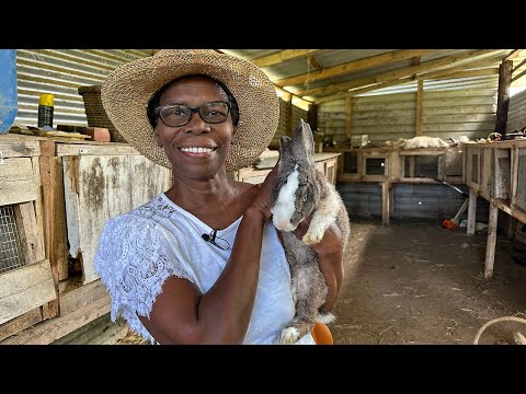 Women in Farming in St  Vincent and the Grenadines